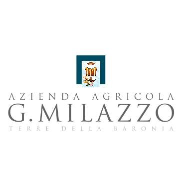 MilazzoVini Profile Picture