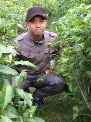 sarjana