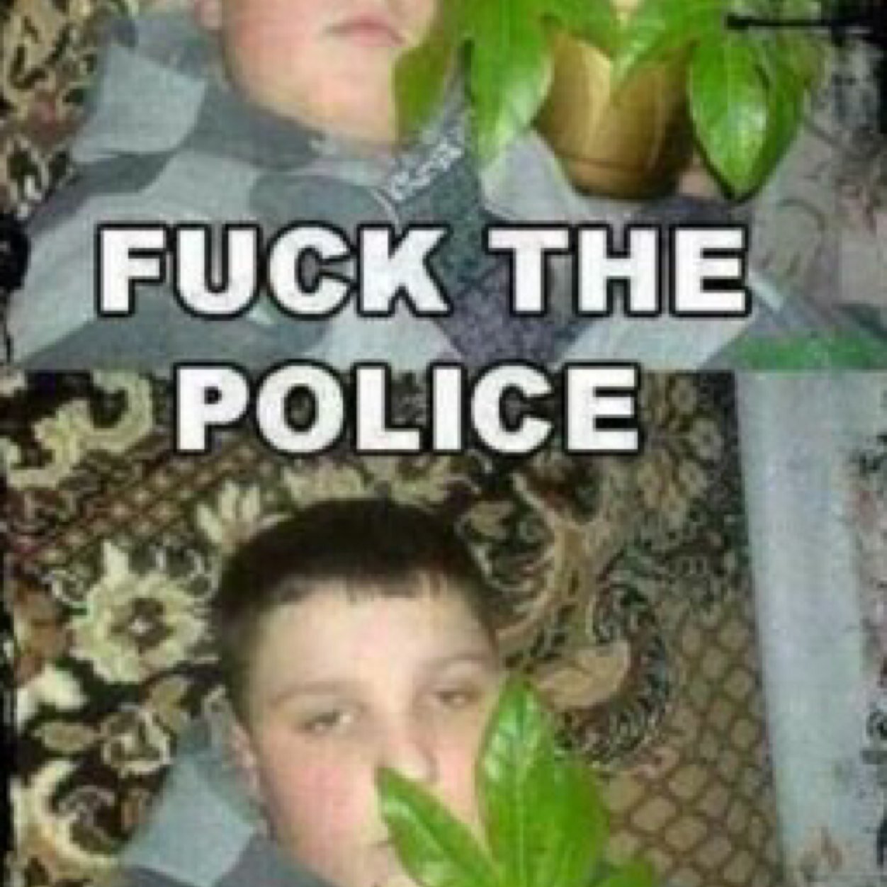 dickdrvgs's profile picture. Navy