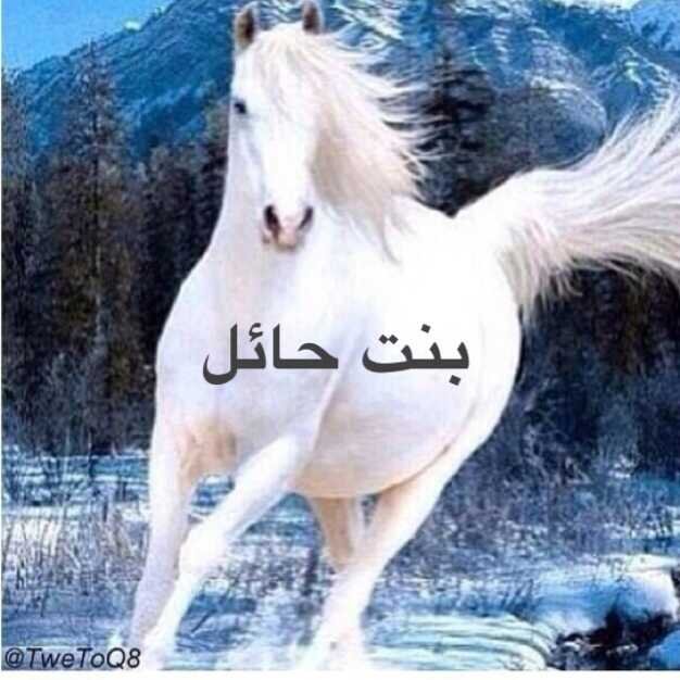 ابق على قيدِ الصّلةِ بالله ؛  .... 
ففي الحياةِ مغاليق لا يفتحُها إلا هو سُبحانه 
 …امتنع الرد بالخااااص