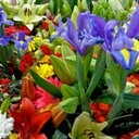 Parrivash Saima Awan - @ParrivashA - Twitter