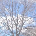 Morgan's BigBuddy - @MorgansBigBuddy - Twitter