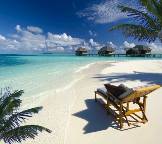 julianmc05's profile picture. 