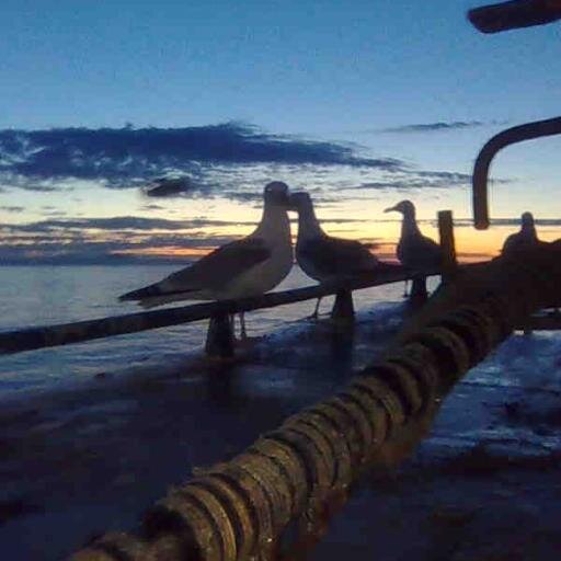 Feel free to join us in lively and informative bant on the Facebook group Fishermen of Northern Ireland.