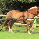 clare nicholson - @clare7577 - Twitter