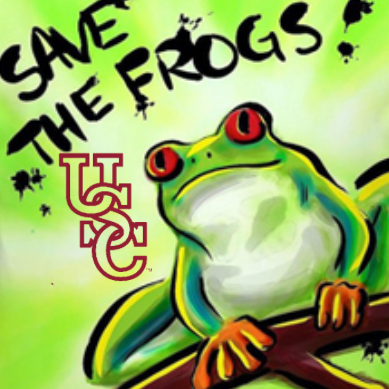 SaveTheFrogsUSC's profile picture. http://t.co/gat15kutpB  Page managed by @jgilbert2013