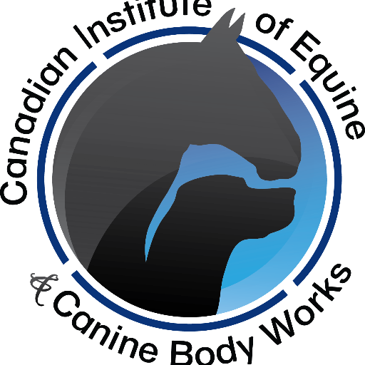 A Canadian educational centre for Equine and Canine Massage techniques and complementary modalities.