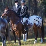 Founder http://t.co/1dfe850kzG, it's all about the horses.