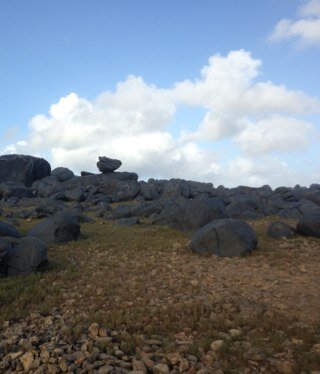 CloudCofC's profile picture. 