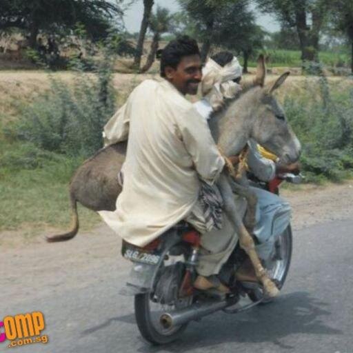 #OnlyinIndia #IndianNonsense #IndianSocietyLogic #IndianLogic