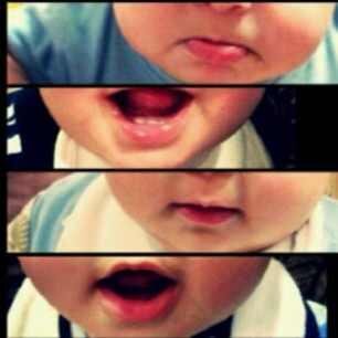 ABO_Hrb
