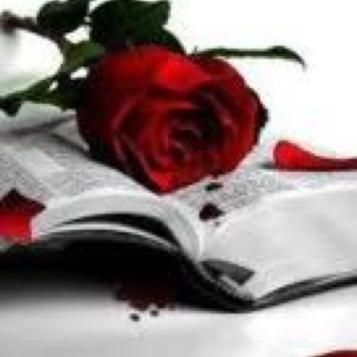 الحنان الخفي يتدفق دون شعور ❤️❤️❤️