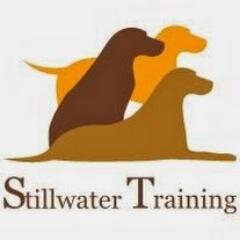 stillwater100's profile picture. Stillwater Kennels and Training is a pet boarding facility in Rochester NH. We board and Groom along with Daycare and training. See our web site