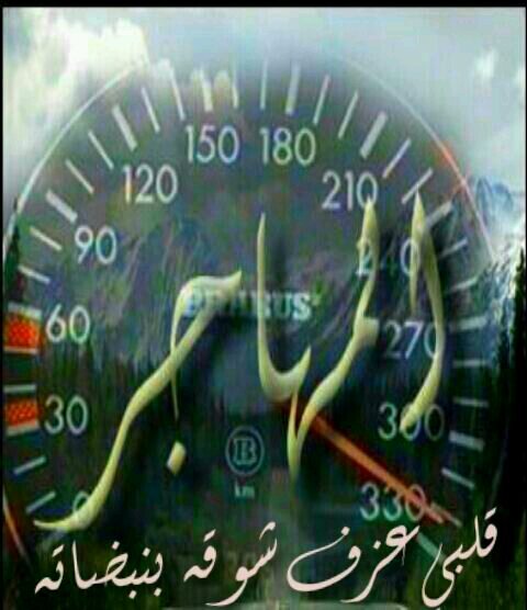 vipvip_01's profile picture. 