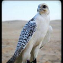 خذ راحتك بس لاتاخذ راحتي