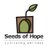 SeedsofHopeLA's profile image