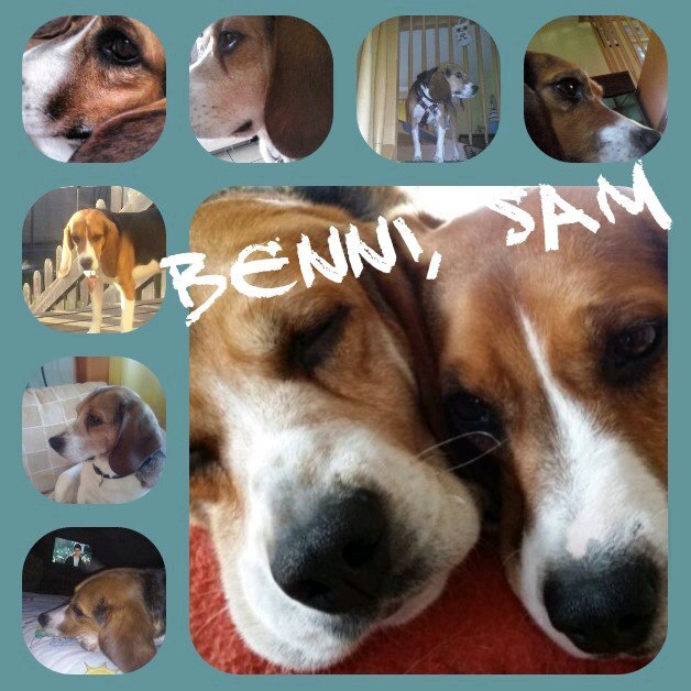 jana_riebel's profile picture. .Fußball verückt.