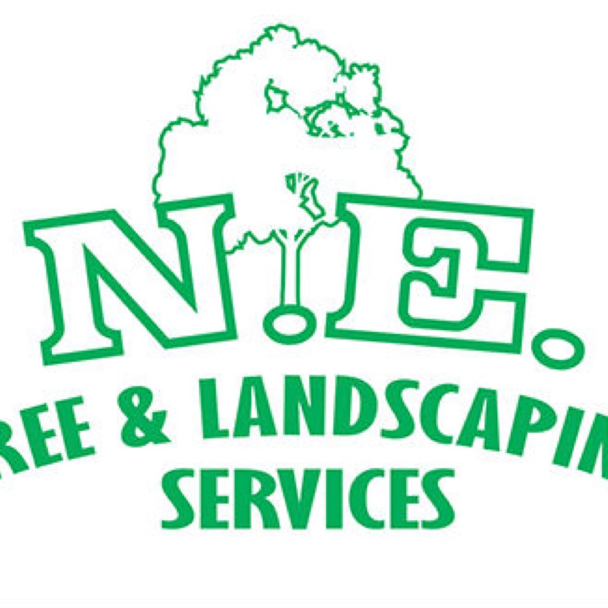 Providing tree, landscaping, garden maintenance and log fuels.
Call on 07534458296 for estimate or advice.