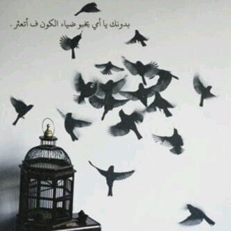 ‏سبحان الله وبحمده -.