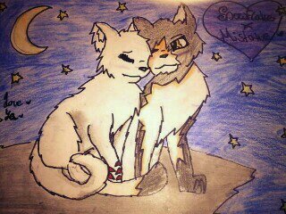 Evil_Mistake_'s profile picture. His parents give him his name. Well they call him Mistake. A lot bigger then most cats. Evil as the devil. Only cares about Snowflake and Flame. #Taken