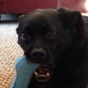 Ginger Klein - @SpicyPope - Twitter