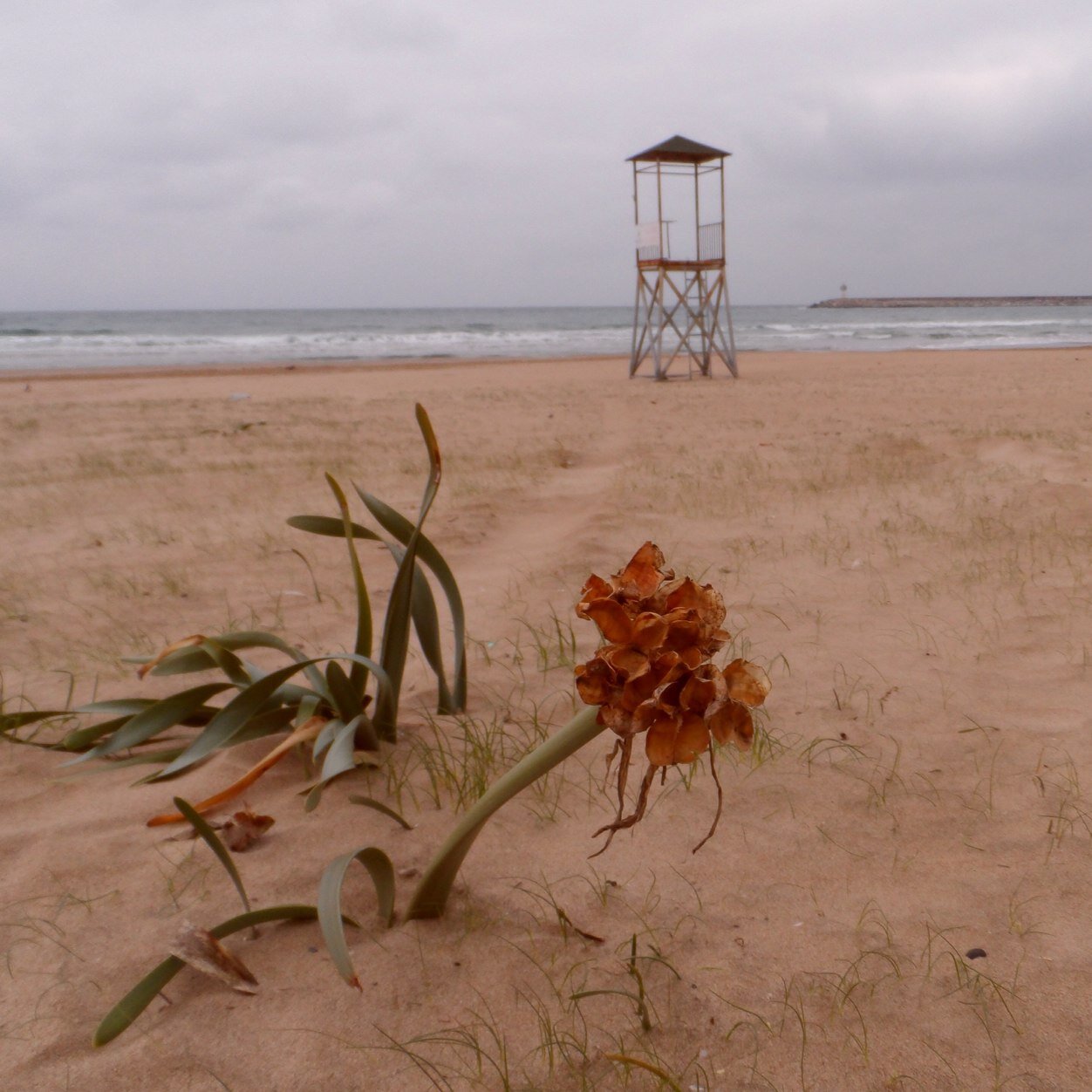 umitersoz's profile picture. null