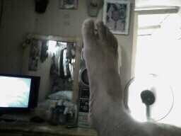 elcavil's profile picture. 