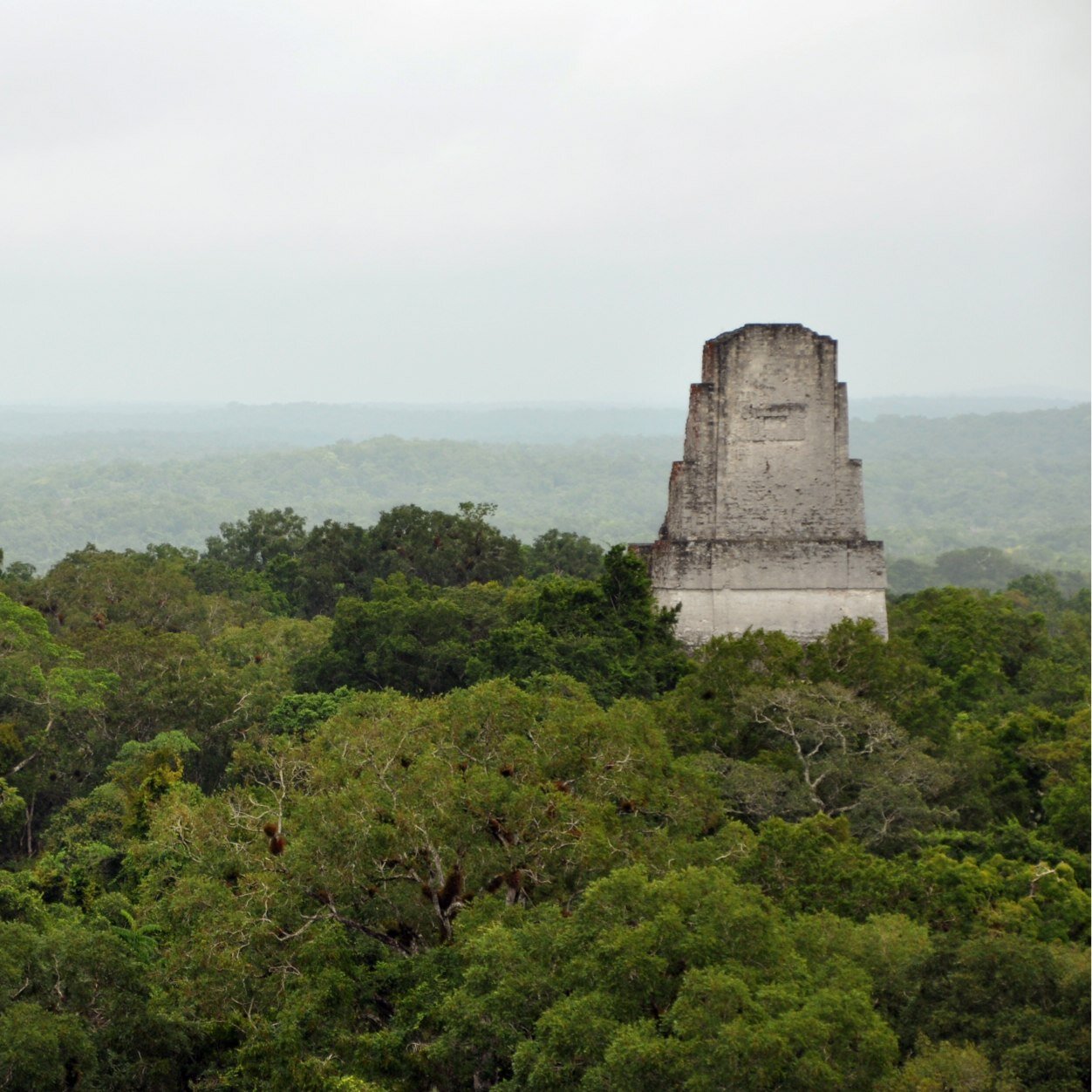 ViajesGorongeti's profile picture. #Viajes #PlanetaTierra #Naturaleza #Africa #Asia #Sudamerica #Norteamerica #Oceania #Europa #Fauna #Monumentos #Belleza
