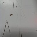 Jim Tom - @JimTom6499 - Twitter