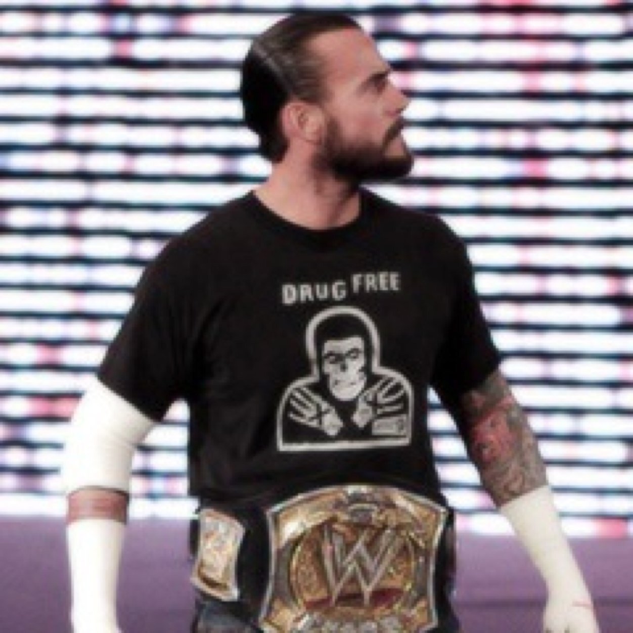 Punk forever + wwe is my life