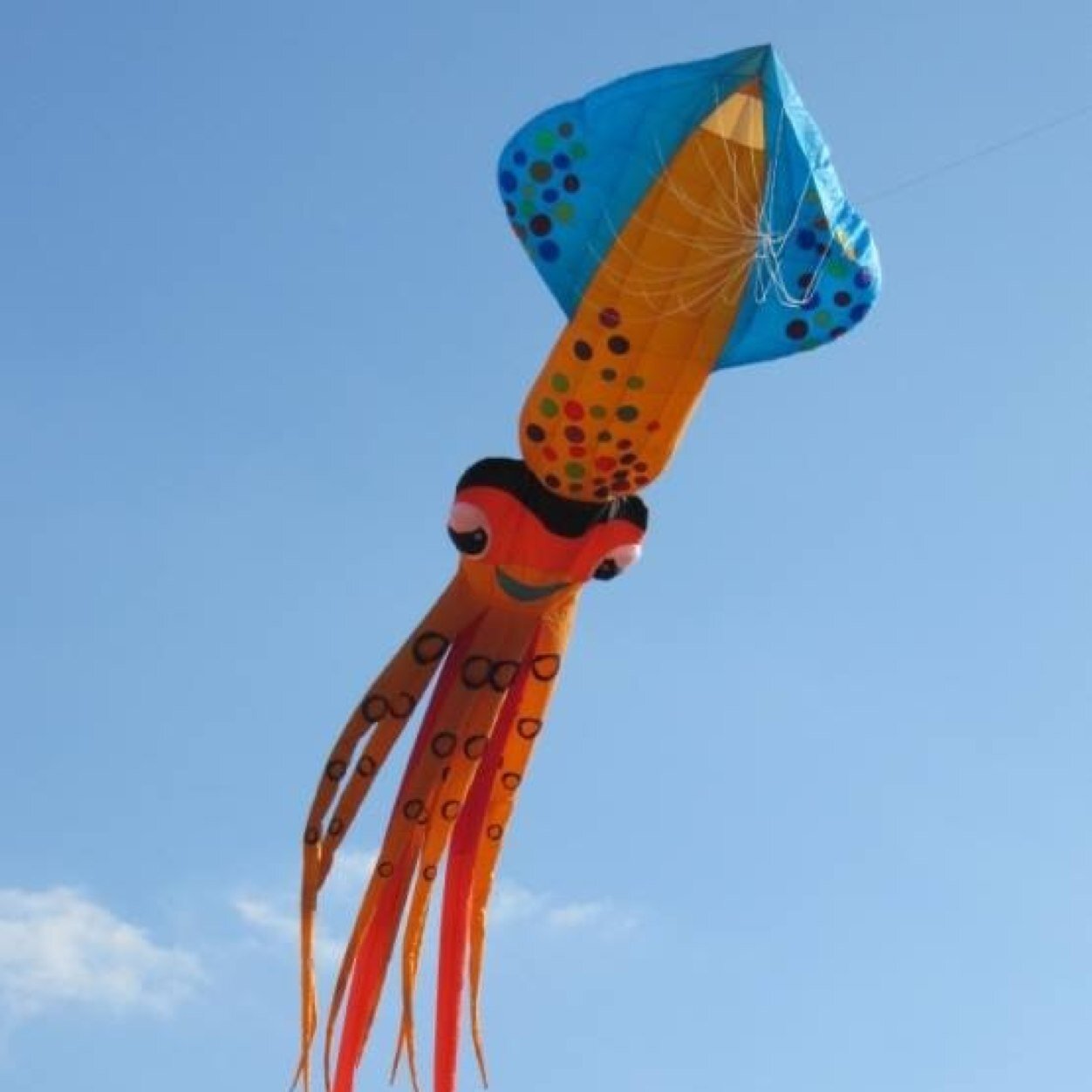 Kite flyer and kite business dealer as well as wind related events coordinator in China. email: daniswilliam@gmx.de