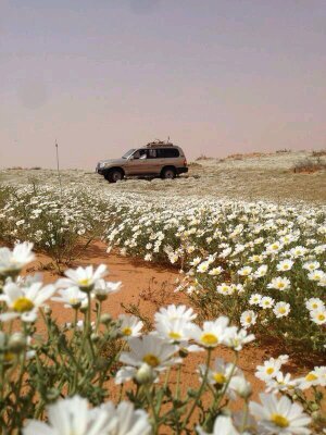 معلم علوم ..(با المختصر)رجل ورجال قليل .