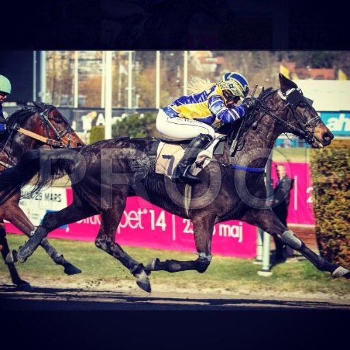 SivEmilieL's profile picture. 