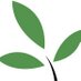 Armenia Tree Project (@armeniatree) Twitter profile photo