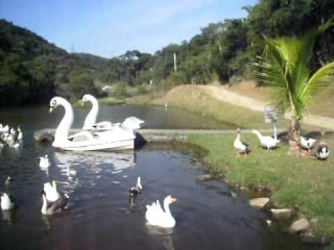 A Fazenda Marambaia RJ é ótima para quem quer ter bons momentos de lazer, tranquilidade e descanso, é perfeita para quem valoriza natureza, beleza e conforto.