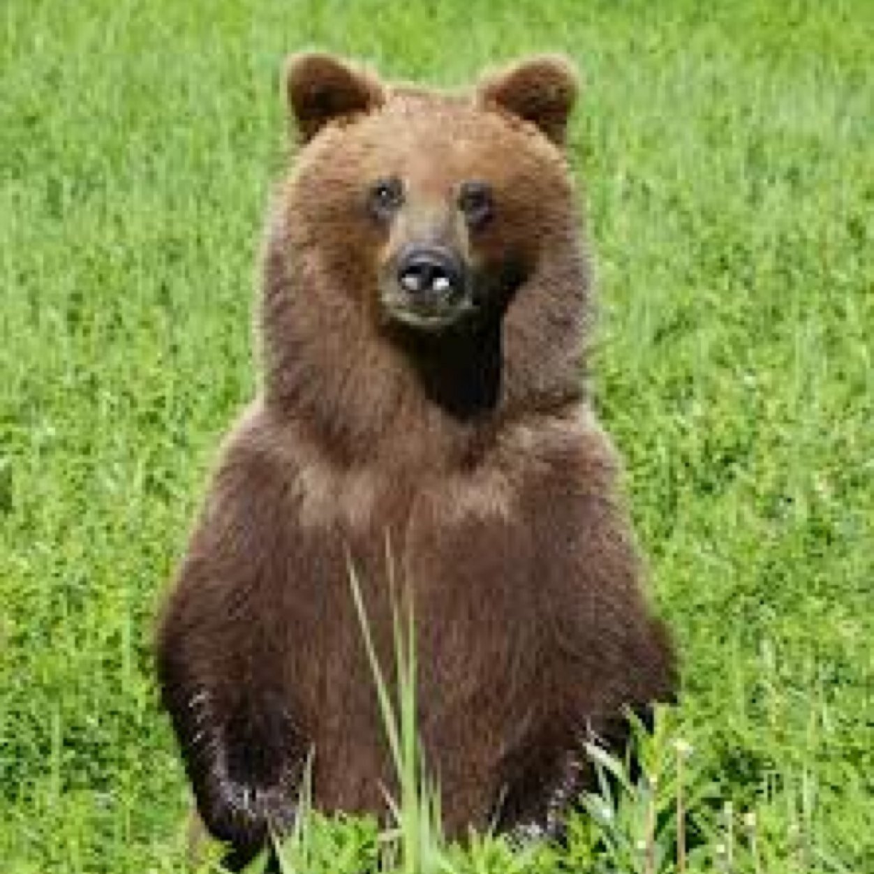 jeanniestar6's profile picture. 