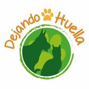 ¡Ponte en sus patas!  Buscamos que se cumplan los derechos de los animales, intentando contrarrestar el maltrato y abandono de estos.