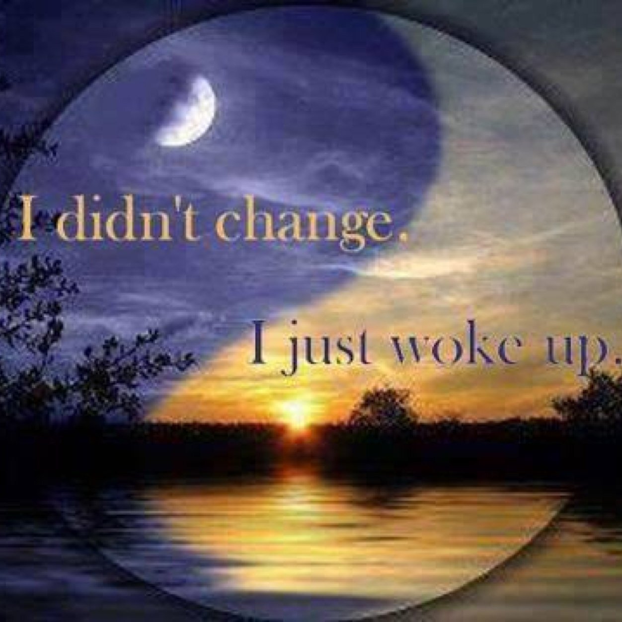 PhxNatWellness's profile picture. A human individual who has learned the fine art of perseverence & overcoming obstacles through self-actualizating the innate primordial self within