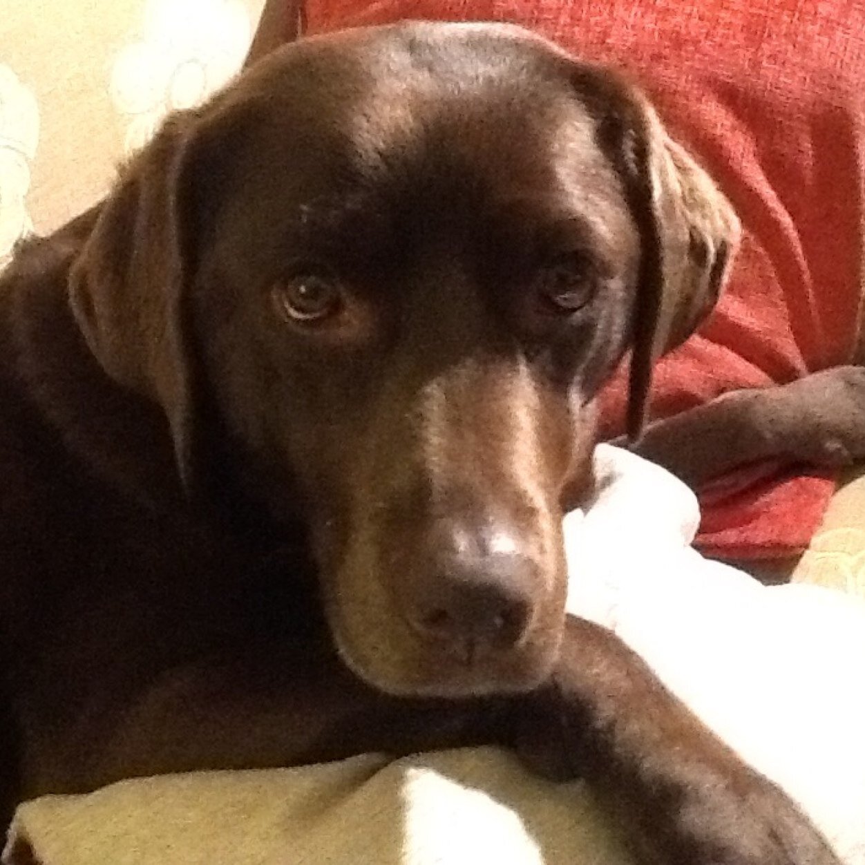 GrahamAndrews9's profile picture. 