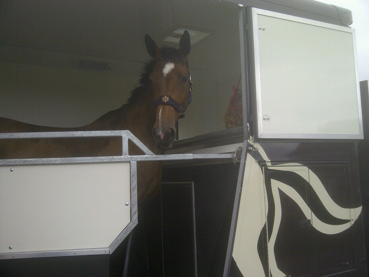 Equine yard supervisor at Derby college.