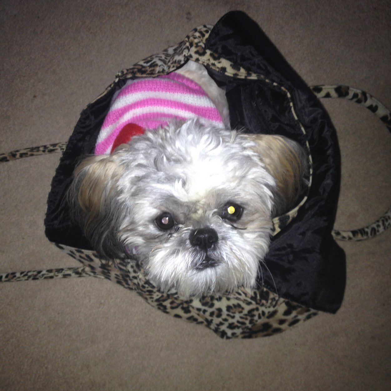 VanessaVhuntley's profile picture. 