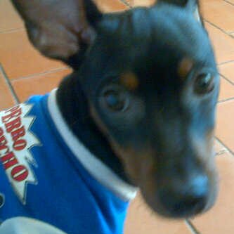 Dafachrifa's profile picture. 