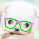 Ainsley Smith - @AinsleySmith13 - Twitter