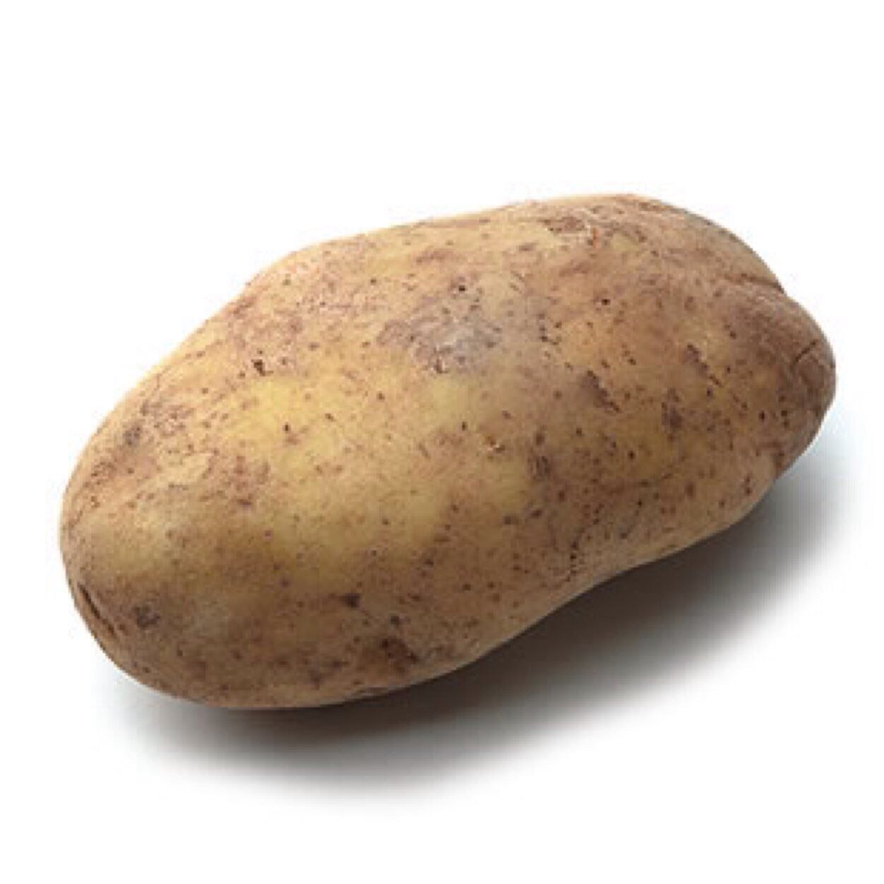 yaitsmepotato's profile picture. the secret life of the american potato