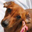 Candace Derry - @candacederry - Twitter