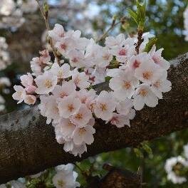 Let's enjoy tweeting together in English!