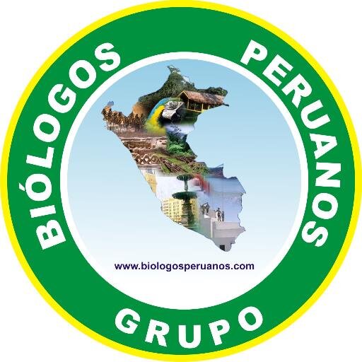 Somos un grupo de profesionales que brindamos servicios de asesorías acádemicas