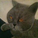 Diane Stapleton - @nannieDiDi - Twitter