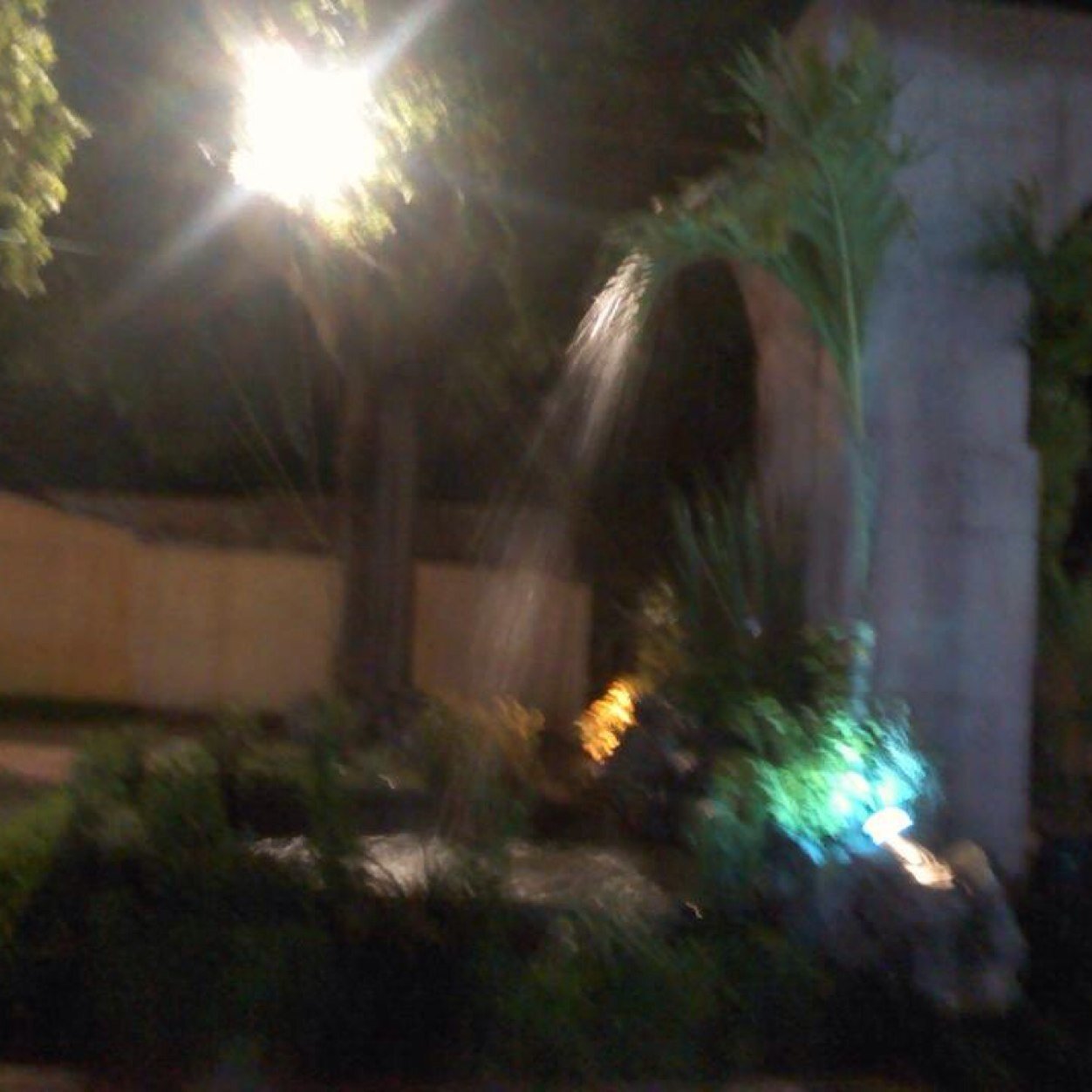 Drojas596Rojas's profile picture. 