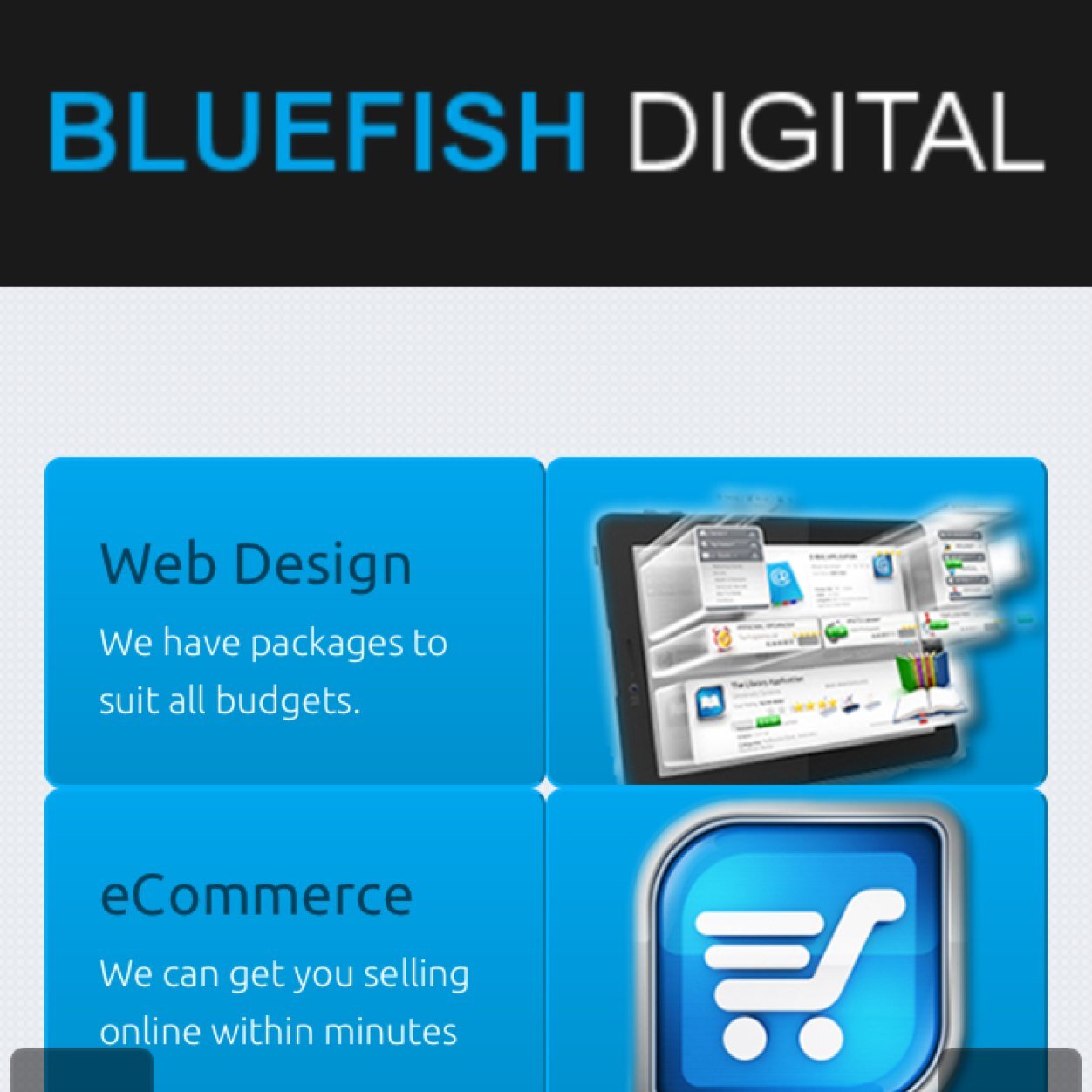 Helping smes and charities promote themselves on the internet, increasing turnover and reducing overheads.